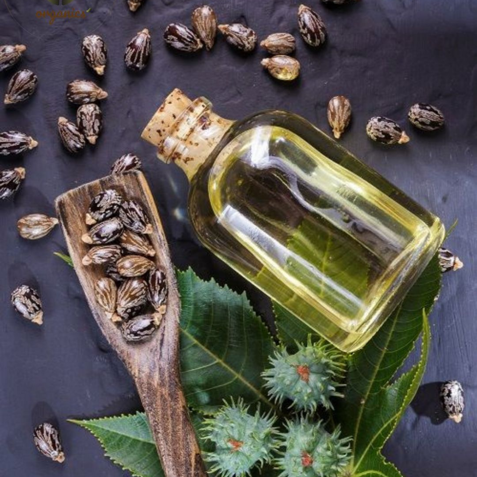 زيت الخروع / Huile de Ricin (30ml)